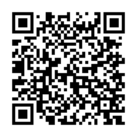 QR code for 4P2-4N2