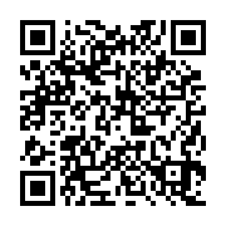 QR code for 4P22C3