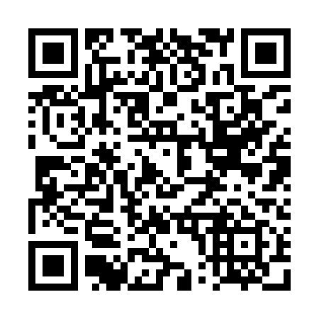QR code for plate 4P2-9Q9