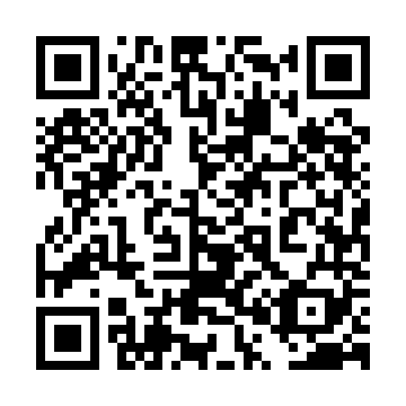 QR code for 4P5-1N9