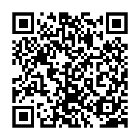 QR code for plate 4P5-0W0