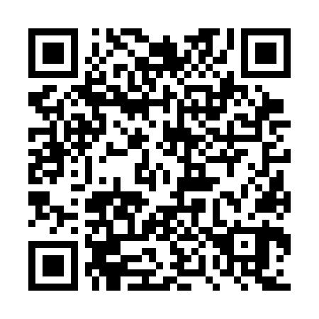 QR code for plate 4P6-3N0