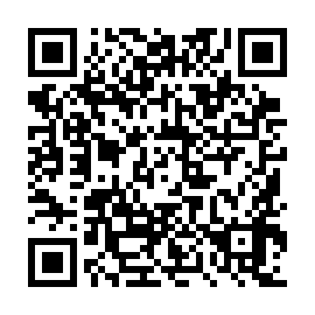 QR code for plate 4P9-3I8