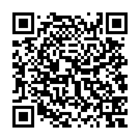 QR code for plate 4Q6-4S9