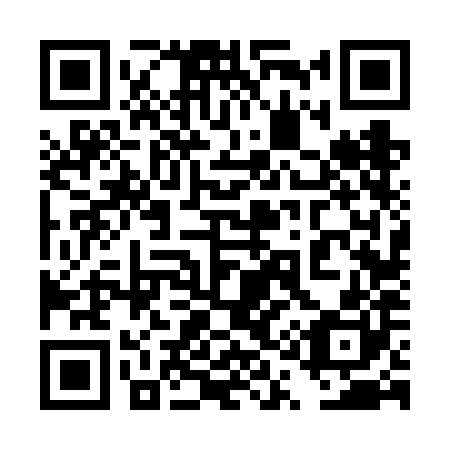 QR code for plate 4Q6-6H0