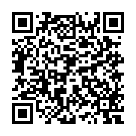 QR code for plate 4S1-0H9