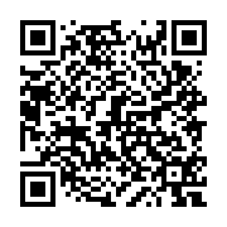 QR code for plate 4T8-6Q4