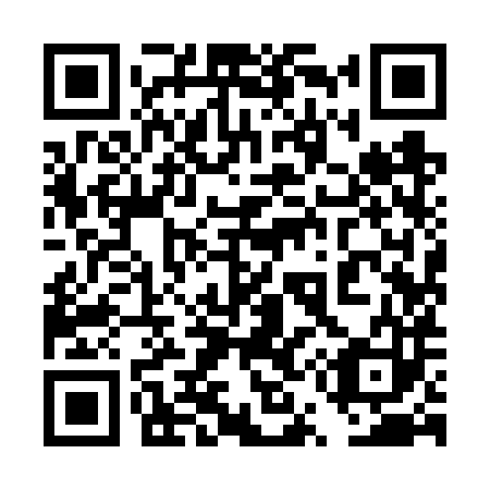 QR code for plate 4U9-6X3