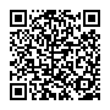 QR code for plate 4V3-4T9
