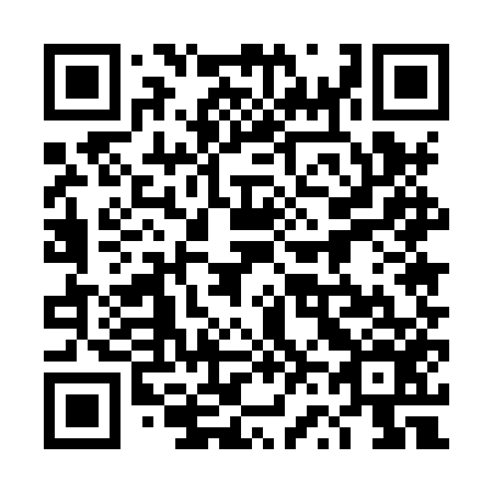 QR code for plate 4V5-8U6