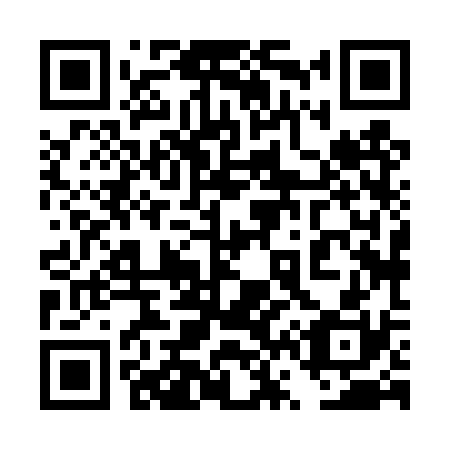 QR code for plate 4V8-4S0