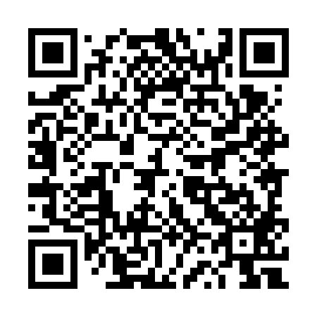 QR code for plate 4V8-6X9