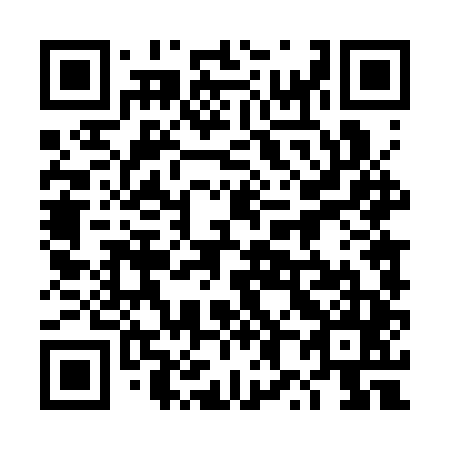 QR code for plate 4X4-3T5