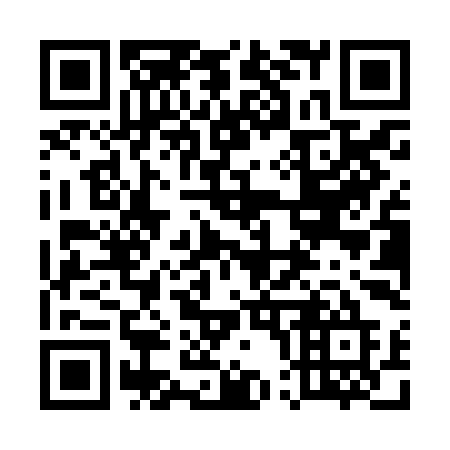 QR code for plate 500-ZIE