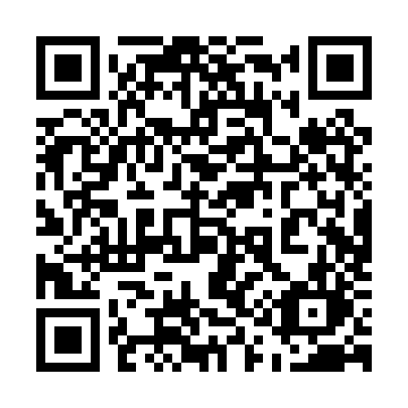 QR code for 510-PZL
