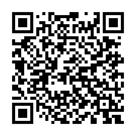QR code for 513-DMH
