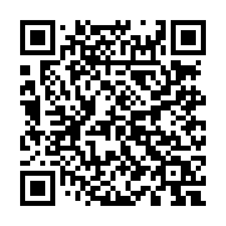 QR code for 517-LGT