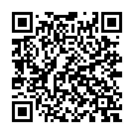 QR code for 519-PES