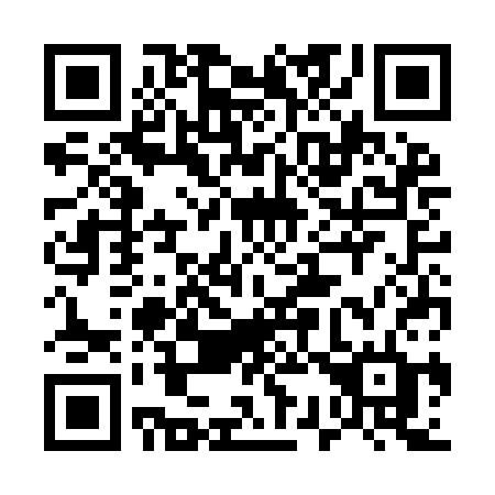 QR code for 533-ICD