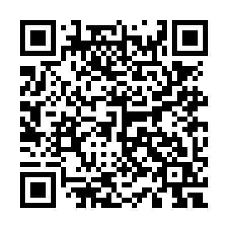QR code for 533NIS