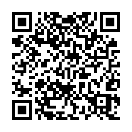 QR code for plate 533-OUS