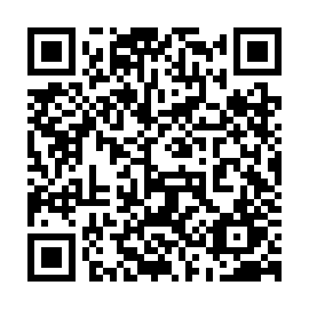 QR code for plate 536-CJT