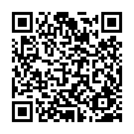 QR code for 541-DZV