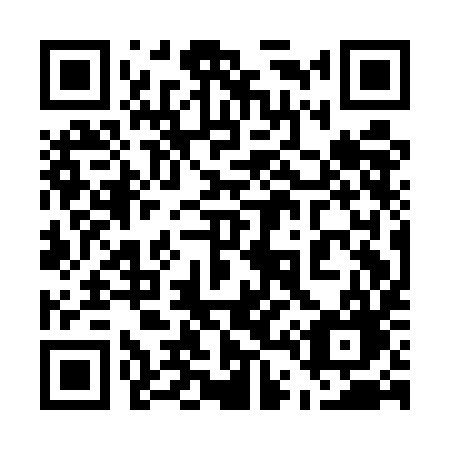 QR code for plate 541-EIG