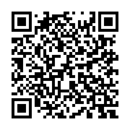 QR code for plate 541-MNI