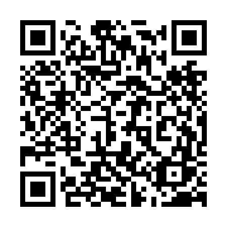 QR code for plate 541-NFS