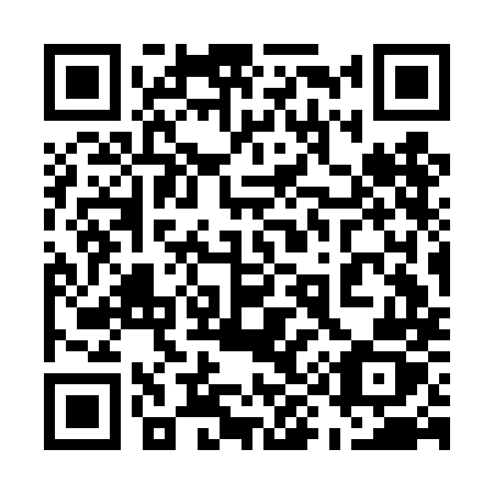 QR code for 593DMZ