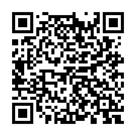 QR code for plate 593-GEH