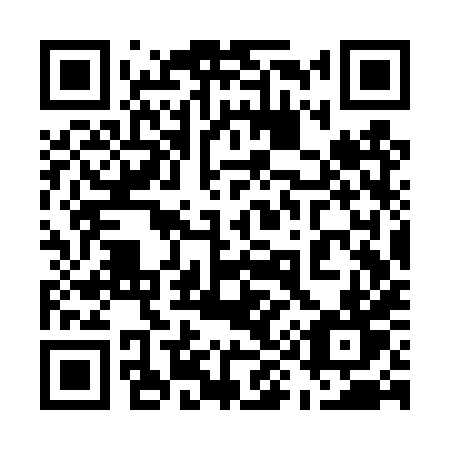 QR code for plate 593-TXT