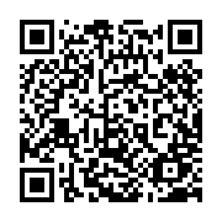 QR code for 594PMT