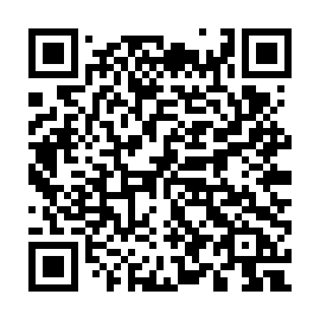 QR code for plate 595-VTB