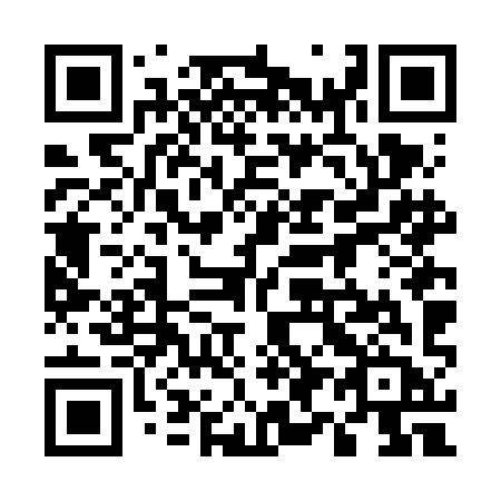 QR code for plate 596-FIB
