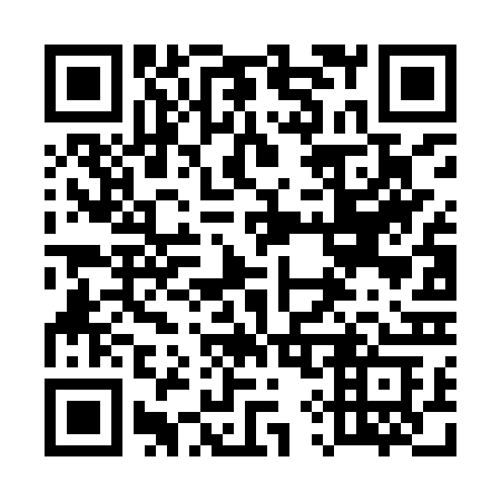 QR code for plate 596-IRC