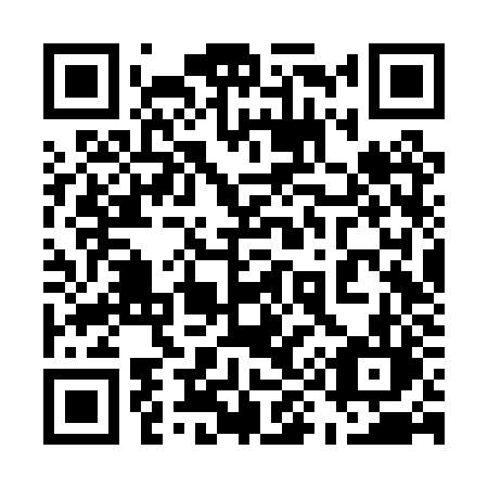 QR code for 596PZL
