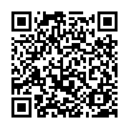 QR code for plate 597-COL