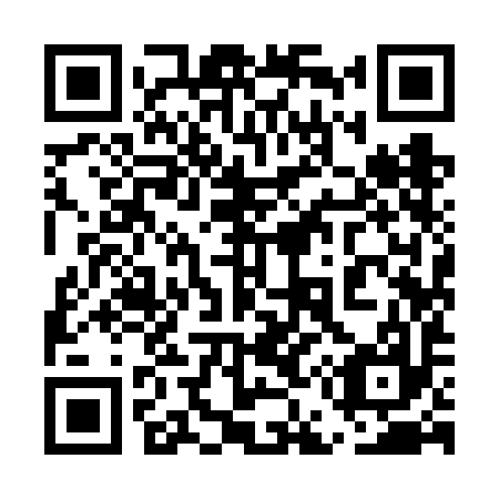 QR code for plate 5E9-6I7