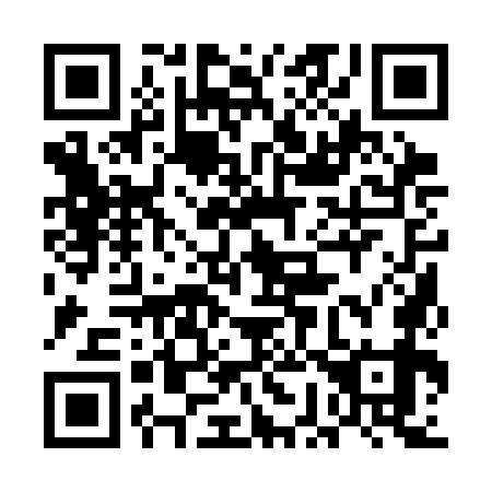 QR code for plate 5G1-3O9