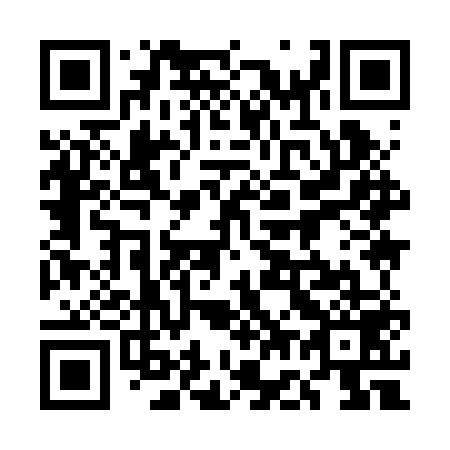 QR code for plate 5G9-2U9