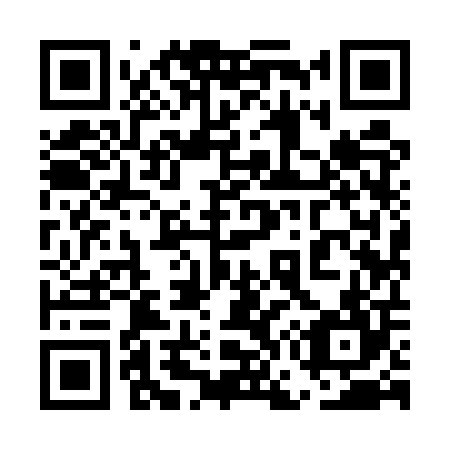 QR code for plate 5G9-5P4