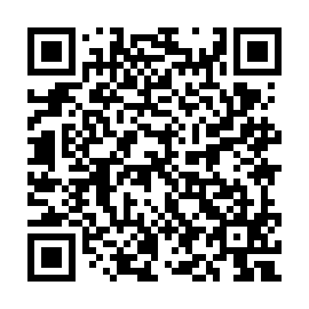 QR code for 5I96I5