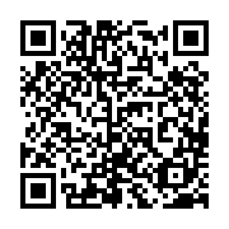 QR code for plate 5L0-1M0