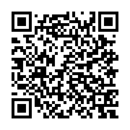 QR code for plate 5O9-0O1