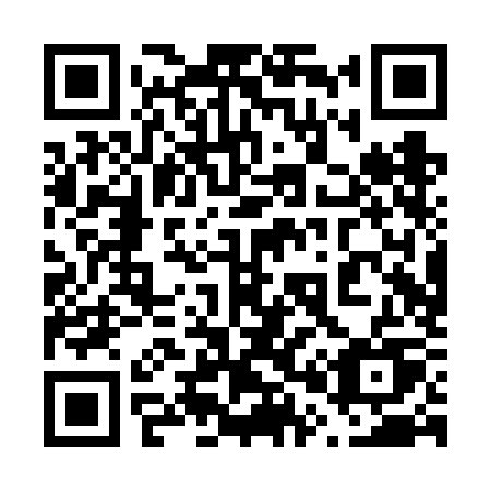QR code for plate 600-VKU