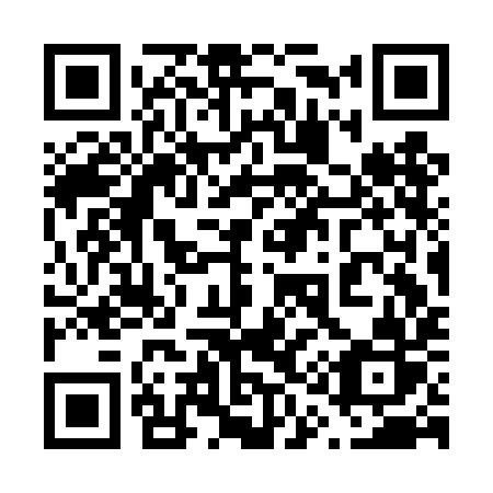 QR code for 613DIR
