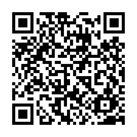 QR code for plate 613-DSN