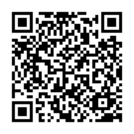 QR code for 617-WSW